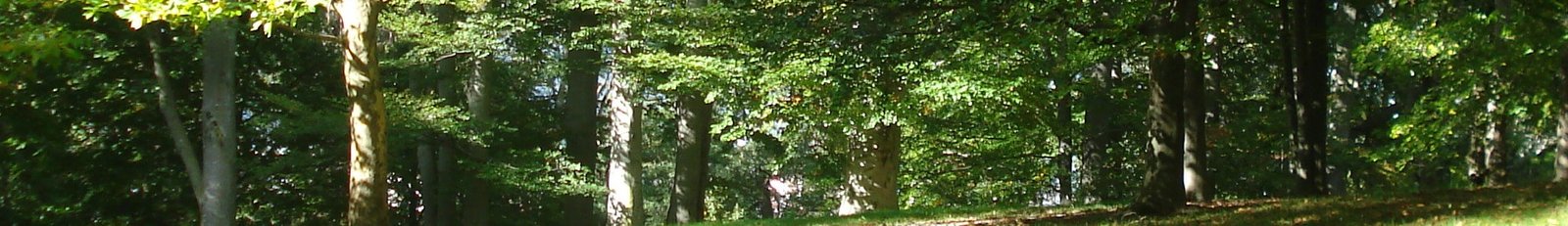 Homewood Marina, Lake Tahoe